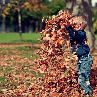Boy in leaves